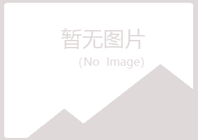 象山区歪斜媒体有限公司